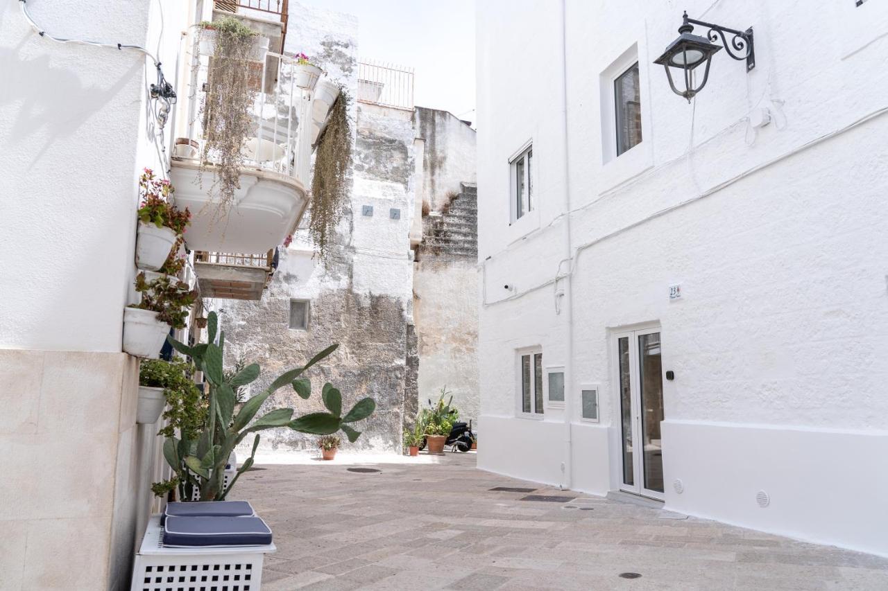 Apartment Wineart House, Terracielo Indipendente Nel Centro Di Monopoli