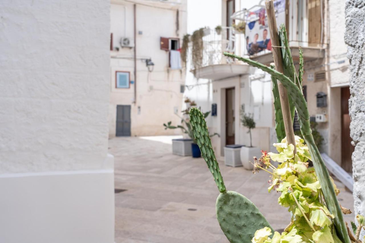 Wineart House, Terracielo Indipendente Nel Centro Di Monopoli