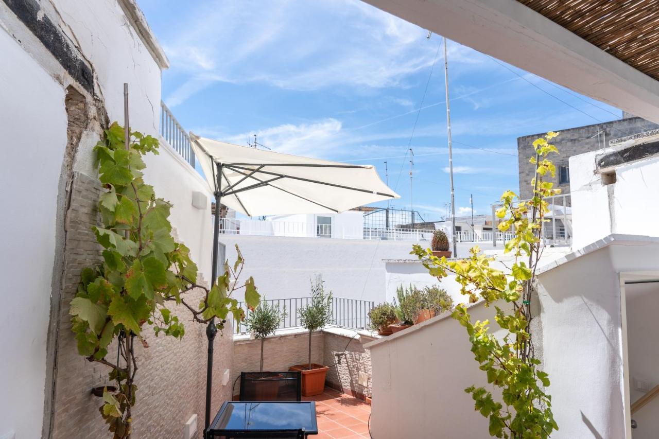 Apartment Wineart House, Terracielo Indipendente Nel Centro Di Monopoli