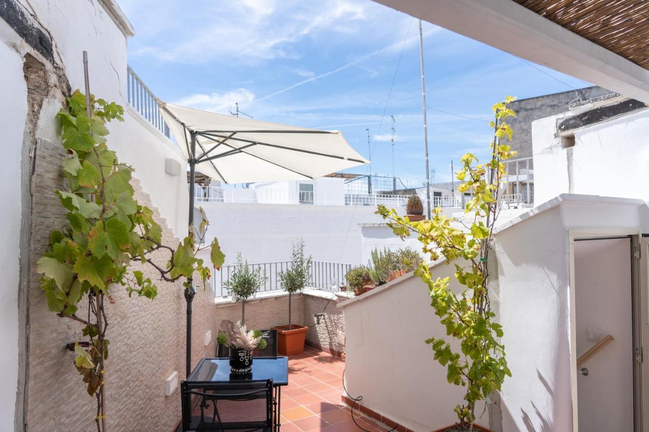 Apartment Wineart House, Terracielo Indipendente Nel Centro Di *